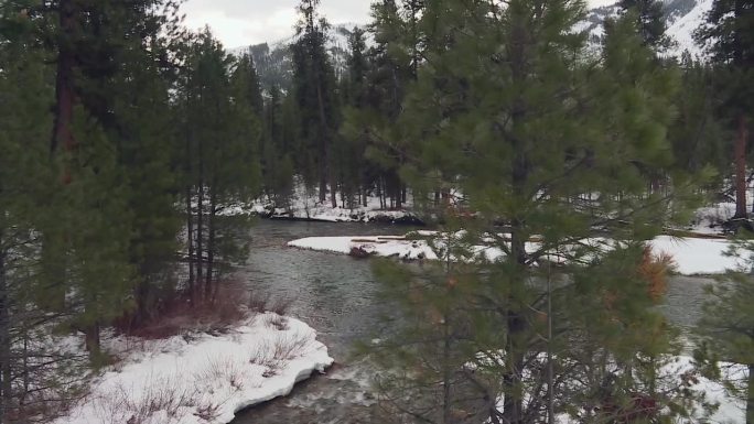 在美国爱达荷州的博伊西国家森林里，冬天穿过雪和树。广角，右偏投篮