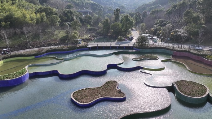 台州植物园