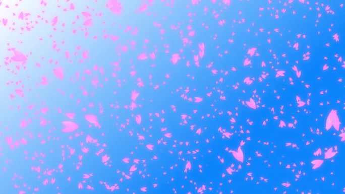 粉红色的樱桃花瓣在蓝天上随风飘落。樱花抽象的背景与场景的春天时间在日本。