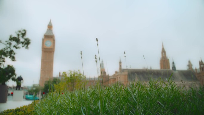 在一个阴天，公园、大本钟、伊丽莎白塔、威斯敏斯特宫的草地