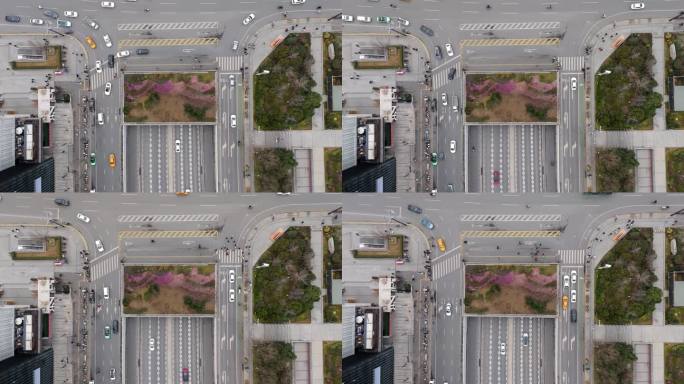 干净好看的城市公路交通车流航拍