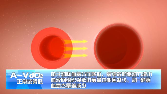 氧气从动脉向静脉顺氧分压差移动演示动画