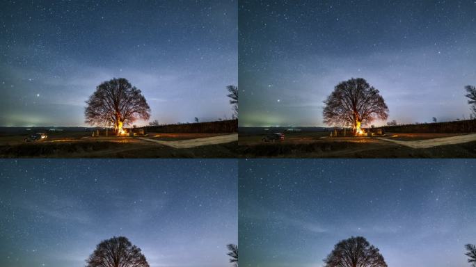超广角拍摄古槐树下北极星星空轨迹延时摄影