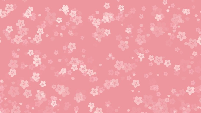 桃红色背景上的樱花