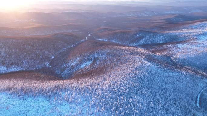 大兴安岭冬季黎明雪色山林