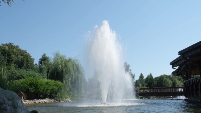 美丽的喷泉在公园的湖中央
