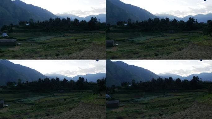 夕阳下，印度洛戎村的绿色田野和山脉上的蜘蛛网的特写镜头