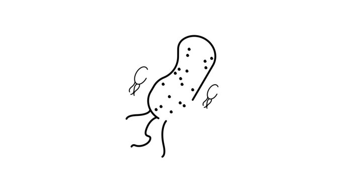 简单的线条绘制的细菌与鞭毛和较小的病毒样颗粒图标动画在白色背景上。