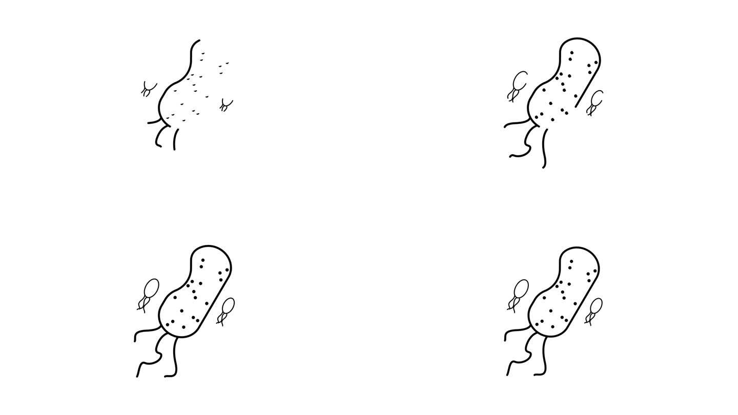 简单的线条绘制的细菌与鞭毛和较小的病毒样颗粒图标动画在白色背景上。
