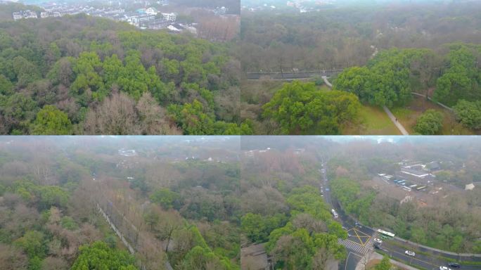 杭州植物园风景视频素材4