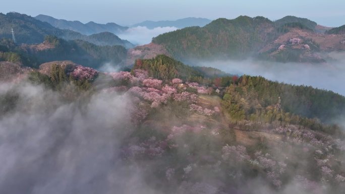 航拍日出时黄山歙县卖花渔村云海