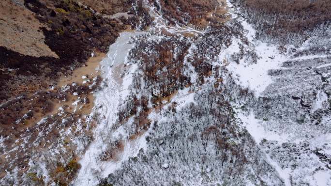 雪山山谷树林雪地下雪航拍