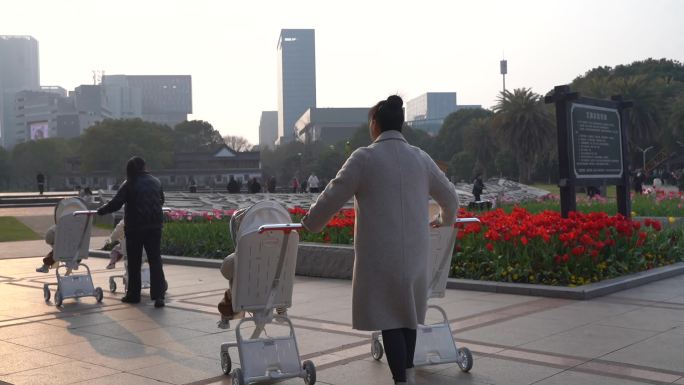 台州市民广场郁金香C0007