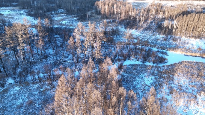 鸟瞰冰雪覆盖的冻土森林湿地