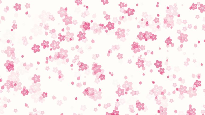 白色背景上的抽象樱花