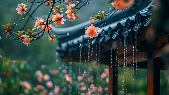 谷雨 雨水 春天雨