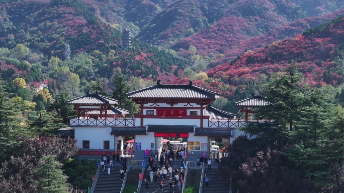 红叶谷的秋天漫山红遍4K