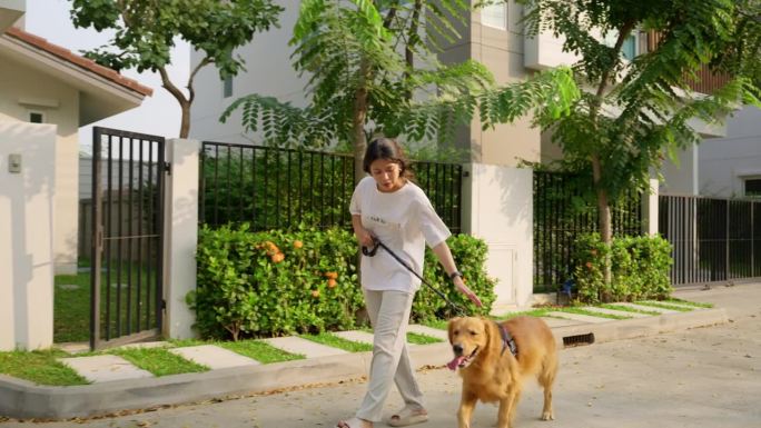 一位年轻的亚洲女子带着她可爱的金毛猎犬在村里散步。