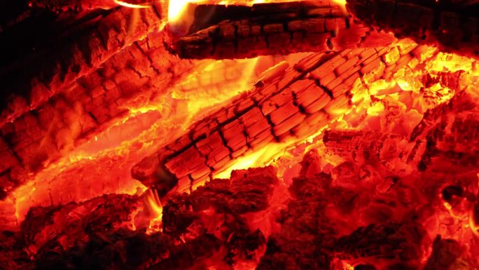 森林之炉:在大自然的火焰中培育灵魂
