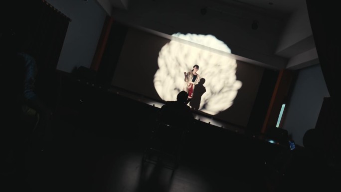 一个人的剪影，在会议期间以脑图为背景。