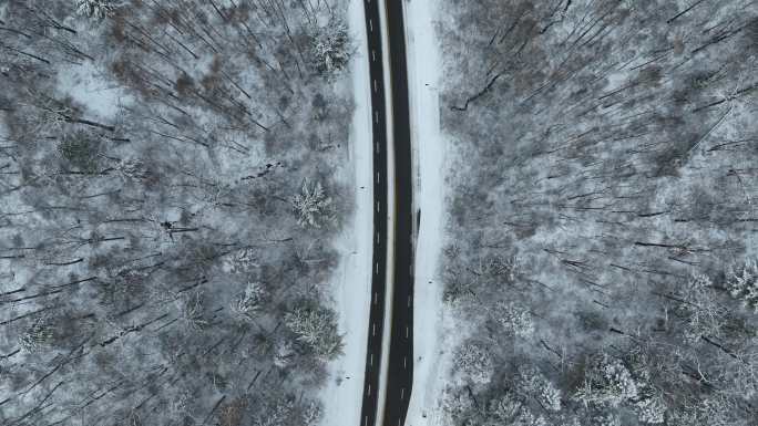 长白山天池 秋冬长白山 极寒 冰雪 雪松