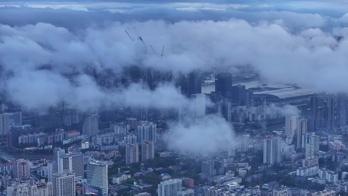 广州琶洲平流雾全貌