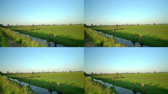 荷兰乡村圩田pov儿童堤与磨坊绿色草甸沟和圩田