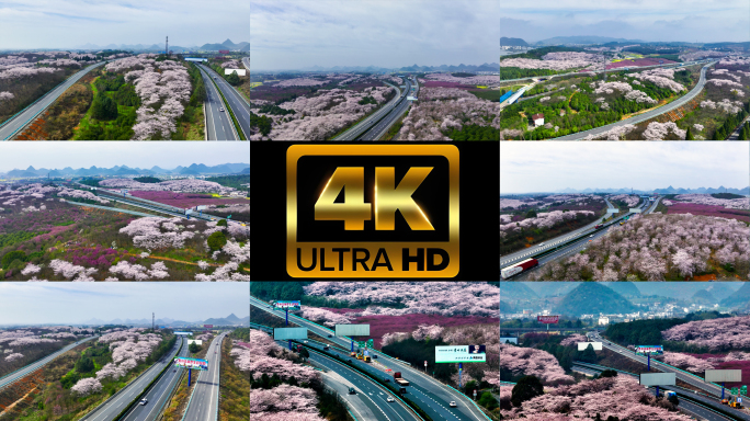 4K航拍樱花盛开的高速公路