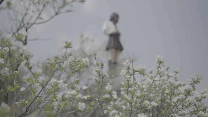 武汉黄陂云雾山白鹃梅jk女生游玩旅拍灰片