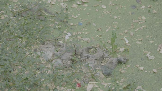 水面的垃圾水污染灰片