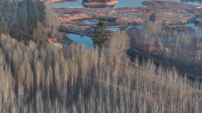 秋日的剑湖湿地风景