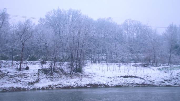 冬天下雪后的河流和树林