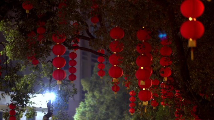 惠州道路树上挂着红灯笼