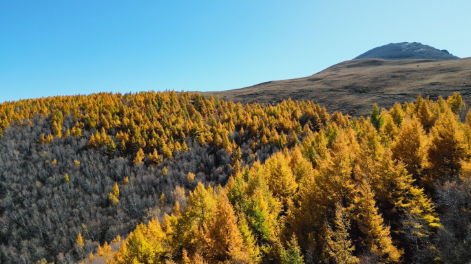 秋天山景 秋景 秋色 秋游