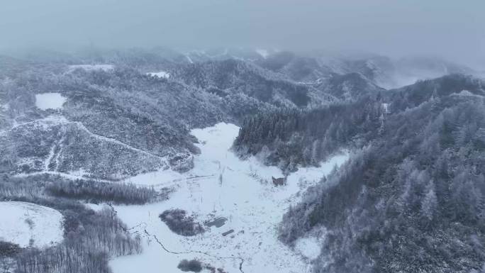 恩施林海雪原