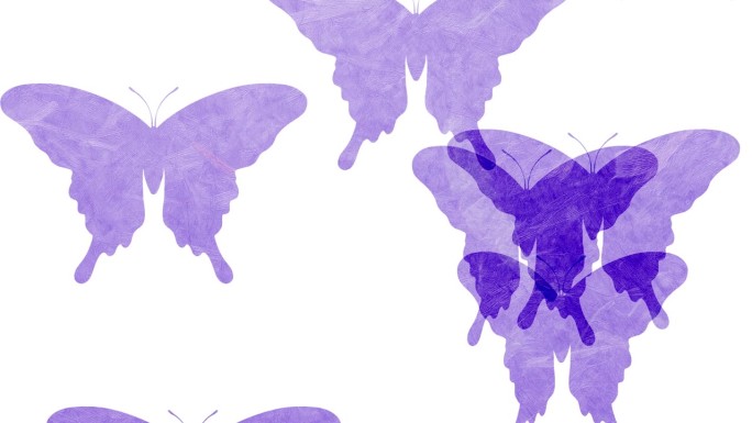 日本风格纹理的蝴蝶动画