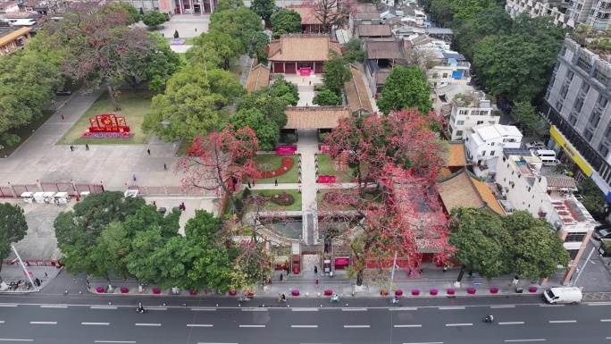 中国广东省广州市越秀区农讲所木棉花