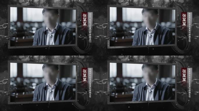 犯罪嫌疑人采访框 反腐纪检视频框