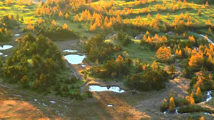 初升的太阳照亮了秋天的色彩。从日本最高的国道入口Shibutoge观景