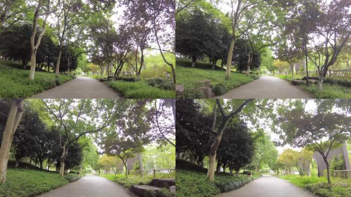 公园树林植物小道路运镜空镜头