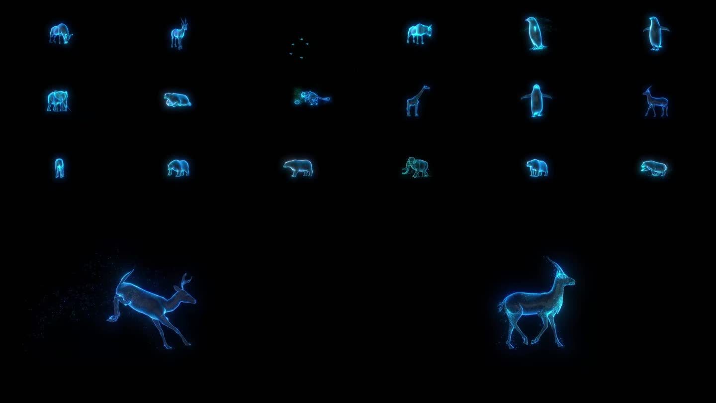 全息虚拟展厅投影粒子动物