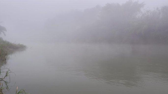 河面晨雾浮桥走过小木桥跨河过桥水面薄雾