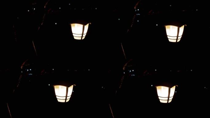 两盏老式路灯照亮了夜晚的庭院