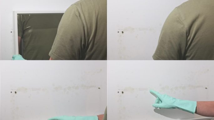 一名戴着橡胶手套的男子从墙上取下一面镜子。墙上长出了霉菌。