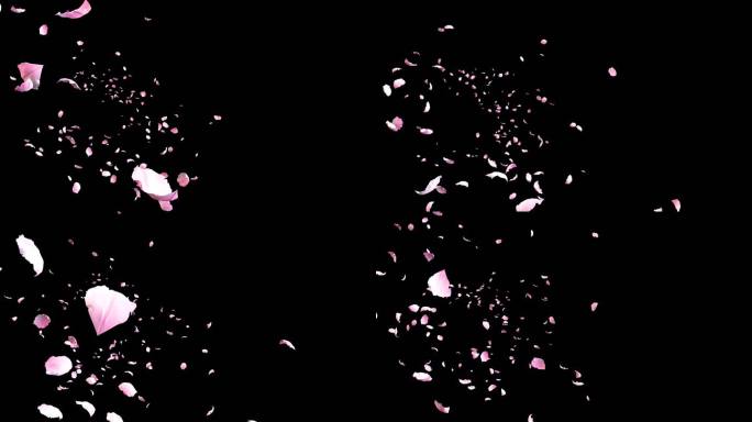 4K飞舞的粉色花瓣粒子透明素材