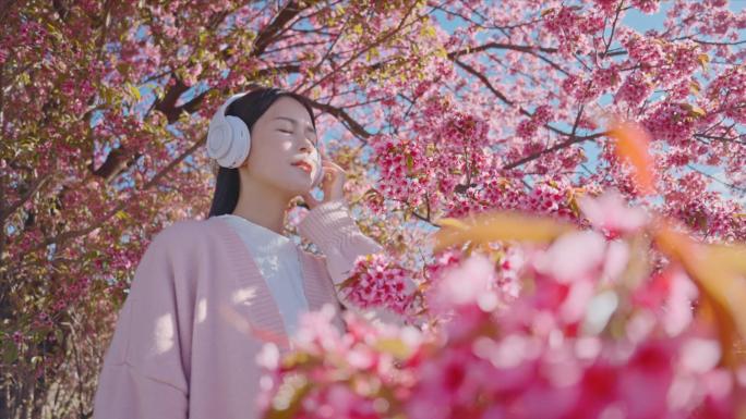 4K少女在樱花树下听音乐