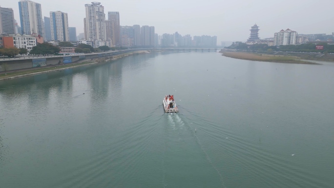 绵阳三江红嘴鸥航拍