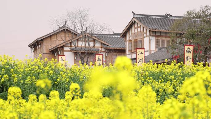 天府正兴 官塘新村 油菜花田园春天 村落