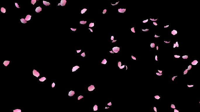 4K飞舞的粉色花瓣粒子透明素材