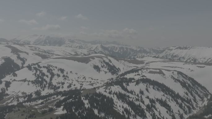 雪山  新疆  中国